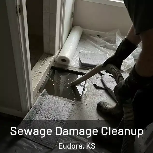  Sewage Damage Cleanup Eudora, KS