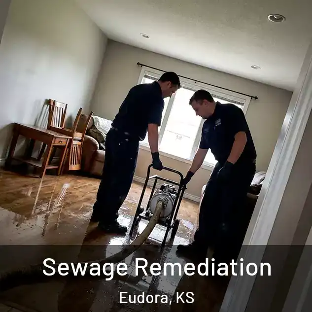  Sewage Remediation Eudora, KS