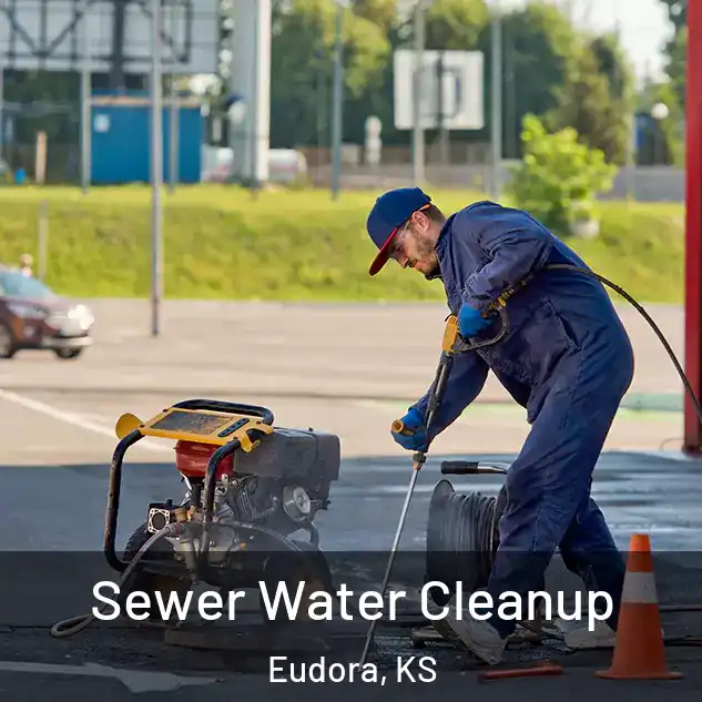  Sewer Water Cleanup Eudora, KS