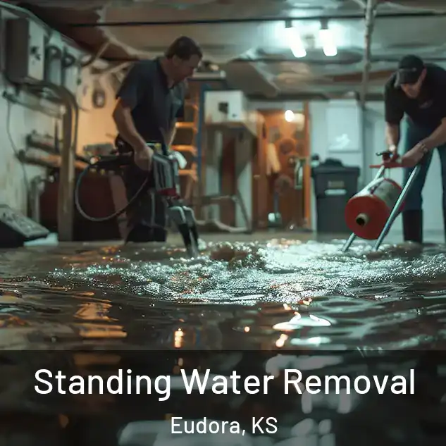  Standing Water Removal Eudora, KS