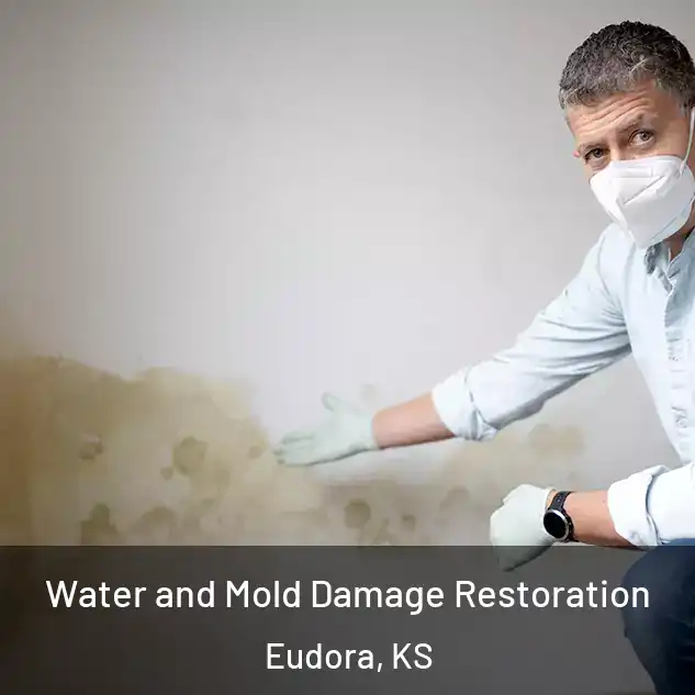  Water and Mold Damage Restoration Eudora, KS