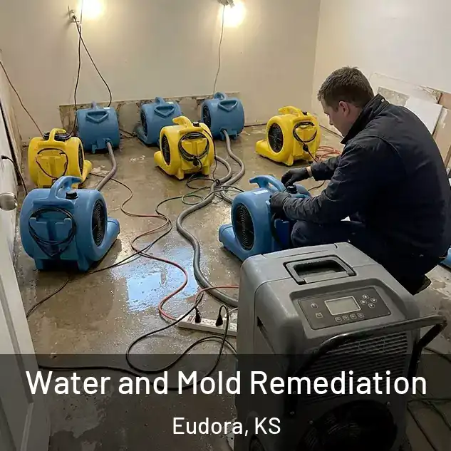  Water and Mold Remediation Eudora, KS