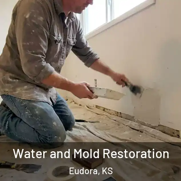  Water and Mold Restoration Eudora, KS