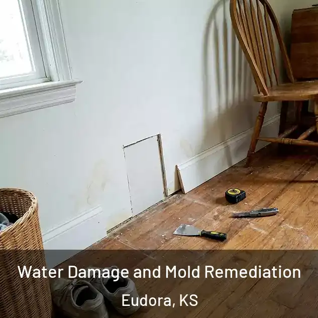  Water Damage and Mold Remediation Eudora, KS