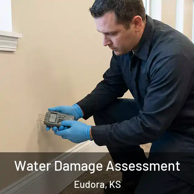 Water Damage Assessment Eudora, KS