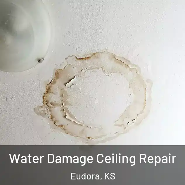  Water Damage Ceiling Repair Eudora, KS