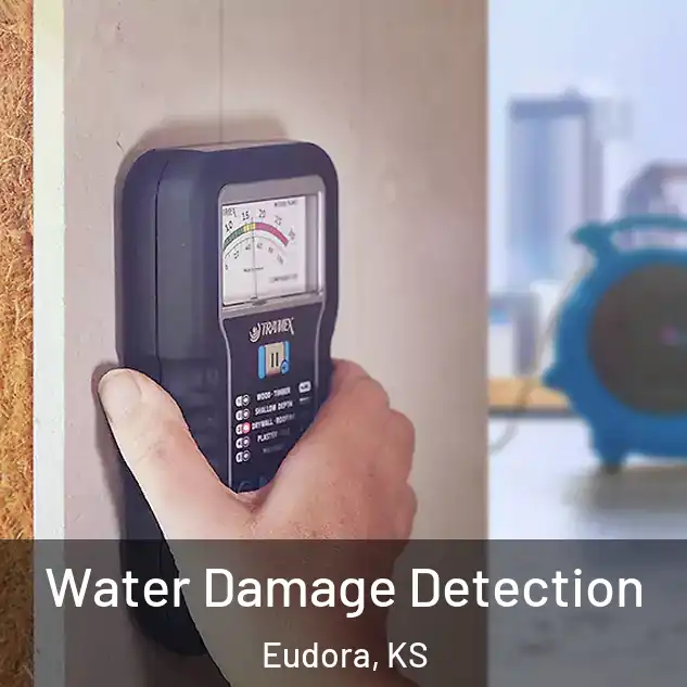 Water Damage Detection Eudora, KS