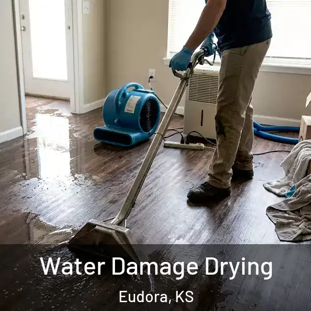  Water Damage Drying Eudora, KS