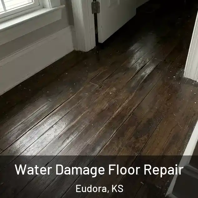  Water Damage Floor Repair Eudora, KS