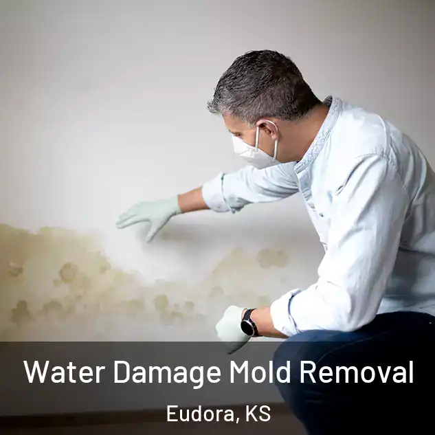  Water Damage Mold Removal Eudora, KS