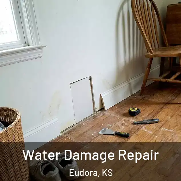  Water Damage Repair Eudora, KS