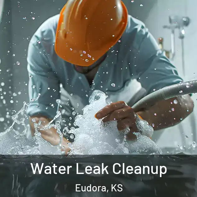  Water Leak Cleanup Eudora, KS