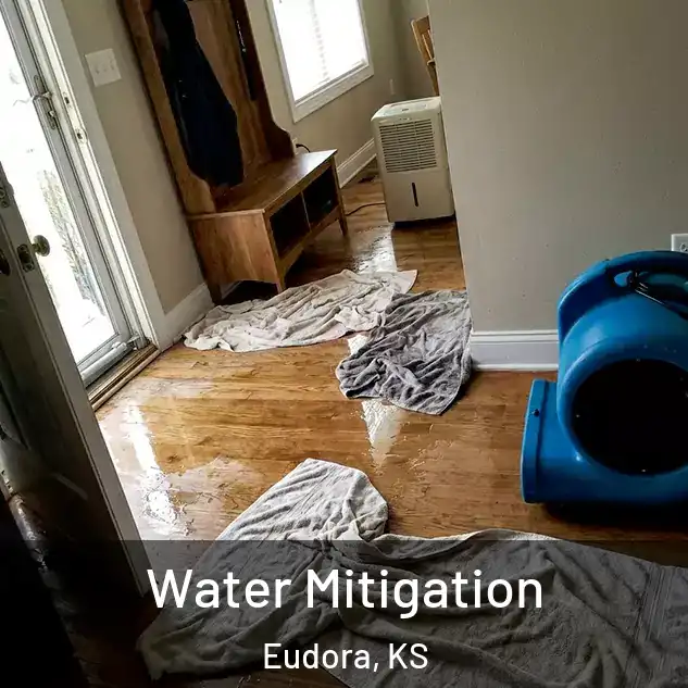  Water Mitigation Eudora, KS