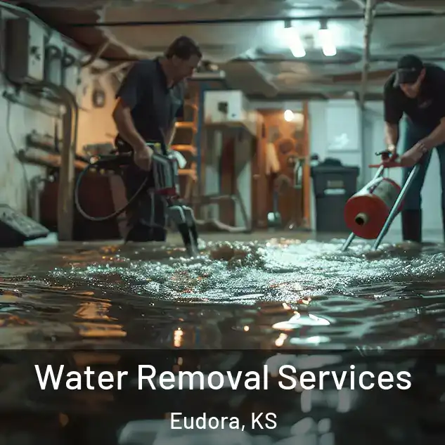  Water Removal Services Eudora, KS
