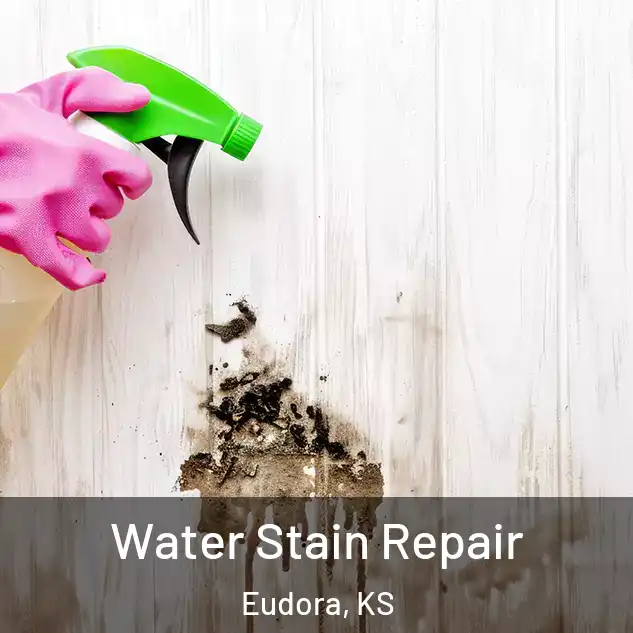  Water Stain Repair Eudora, KS