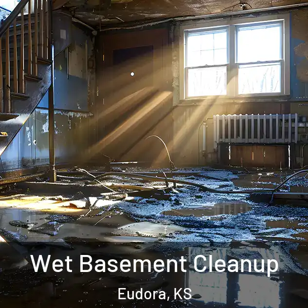  Wet Basement Cleanup Eudora, KS