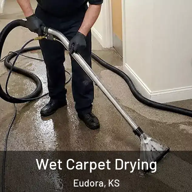  Wet Carpet Drying Eudora, KS