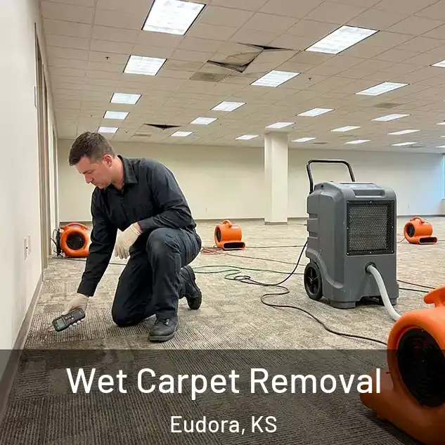  Wet Carpet Removal Eudora, KS